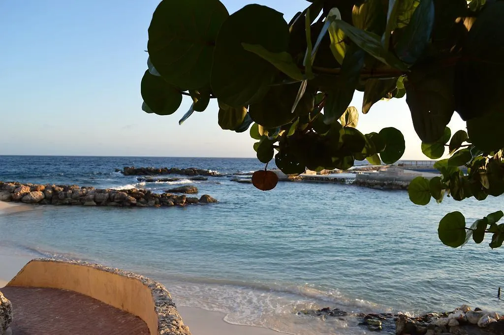 וילמסטאד Dolphins Jump@Curacao Ocean Resort דירה