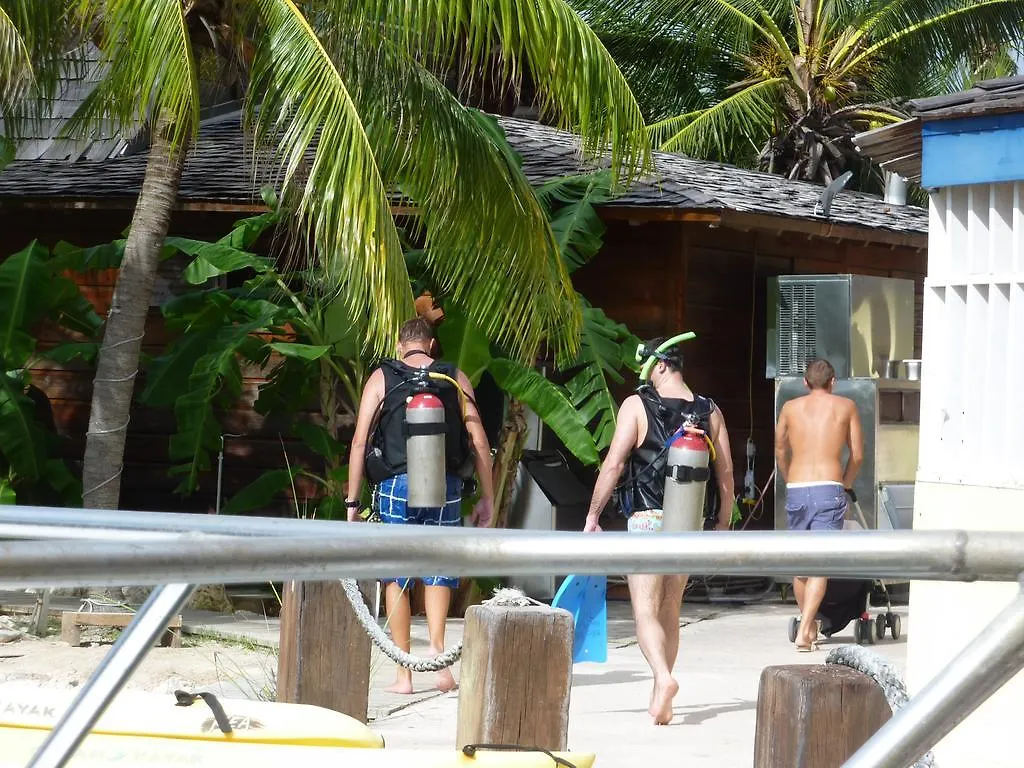 וילמסטאד Dolphins Jump@Curacao Ocean Resort קוראסאו