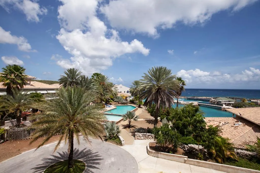 Dolphins Jump@Curacao Ocean Resort 威廉斯塔德