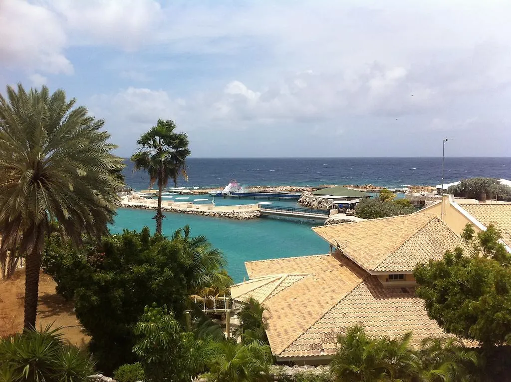 Dolphins Jump@Curacao Ocean Resort 威廉斯塔德