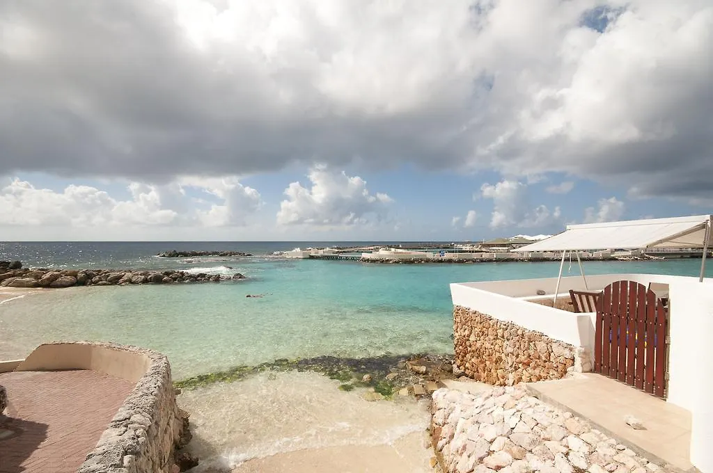 Dolphins Jump@Curacao Ocean Resort 威廉斯塔德 0*,  库拉索